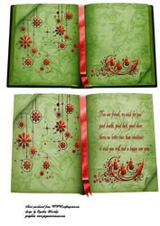 Christmas Book Red and Green