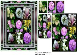 Flowers in the Rain