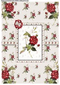 Red Rose Kit
