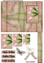 Pink Tulip