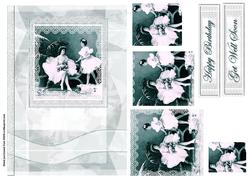 Ballerina`s Lace