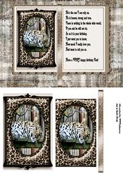 Jaguar Book for Dad