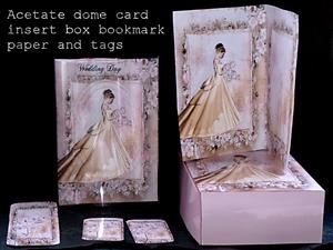 Wedding Day Acetate Dome Kit
