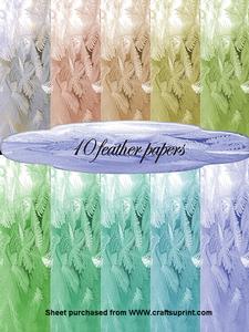Feather Paper Kit