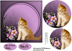 Kitty and Flowers