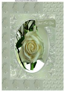 Oval White Rose Kit