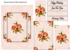 Roses and Lace