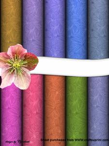 Swirl Paper Pack