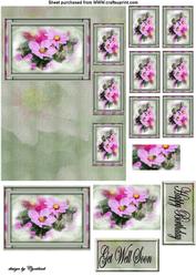 Double Pryamage Flowers