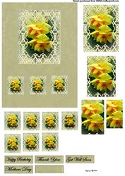Daffodils