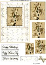 Cream Lilies
