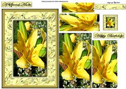Yellow Lily in the Sunlight