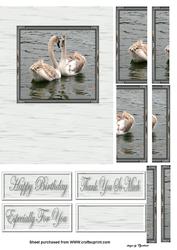 2 Swans Heart Shape