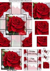 Framed Red Rose