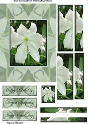 White Flower Stacker Card