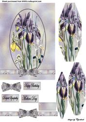 Iris in Oval Frame