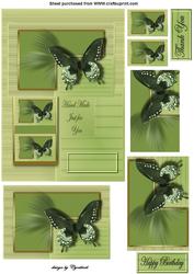 Fragile Wings Butterfly