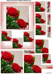 2 Red Roses