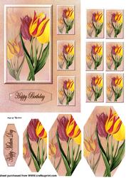 Tulips