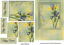 Yellow and Blue Iris