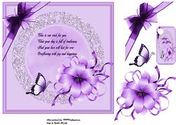 Lace and Butterfly