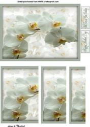 Side Stacker White Orcid