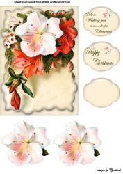 Christmas Flowers