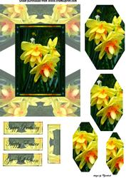 Easter Daffodils