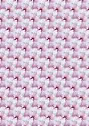 Pink Blossom Background