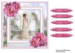 Beauiful Bride