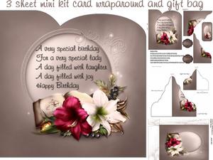 Amaryllis Wraparound Mini Kit