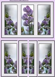 Triple Frame Stacker Sweetpea