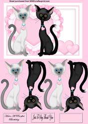 Cute Kittys