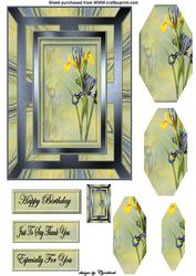 Iris Quick Card