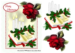 Christmas candle rose