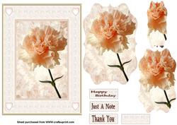 Peach Carnation Flower Quick Card