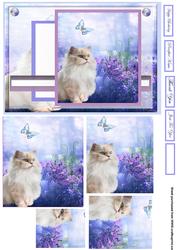 Cat in the Flowers