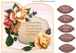 8x8 cream rose 