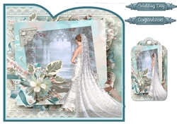 8x8 dreamy blue bride