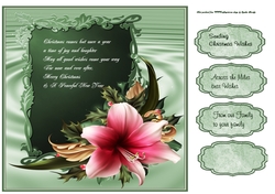Christmas amaryllis quick card