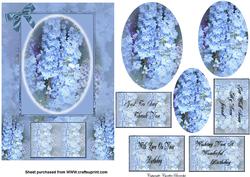 Pretty Blue Flowers