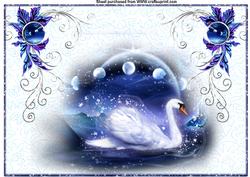 Blue Swan Song A4
