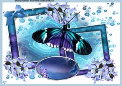 A4 Butterfly