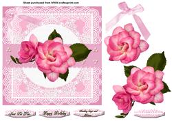 Pink Rose on Lace