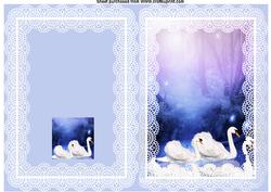 Swans Quick Card