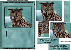 Owl Pryamage