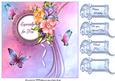Butterflies and Flowers