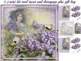 Birds and Butterflies Mini Kit