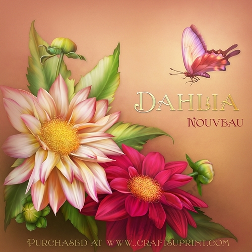 Dahlia Nouveau I