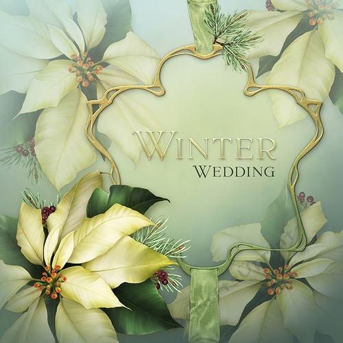 Winter Wedding I